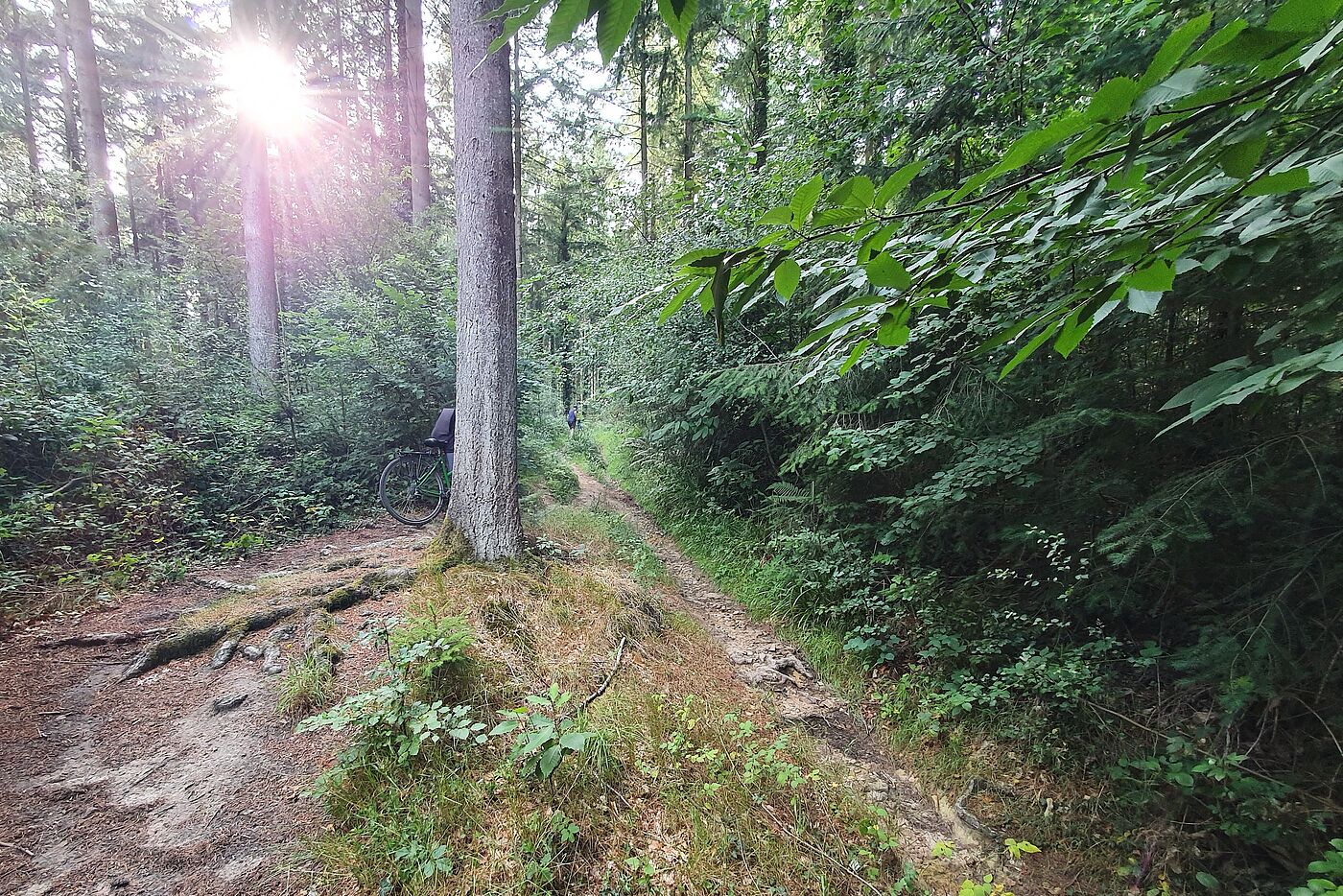 Radweg nach Longleat