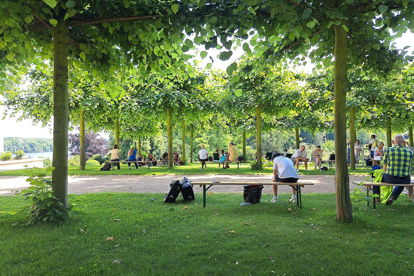 Parklandschaft