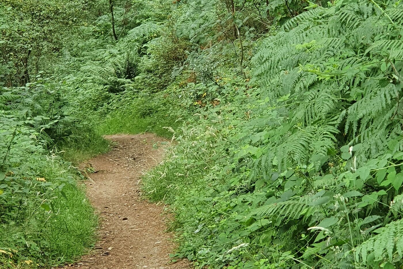 Radweg nach Longleat