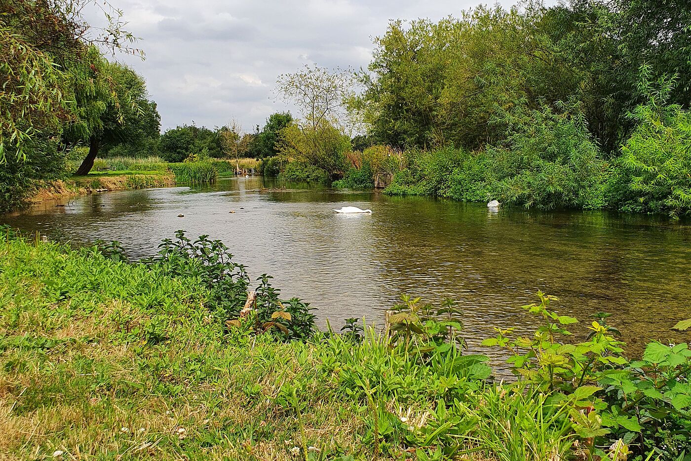 zwischen Amesbury und Salisbury